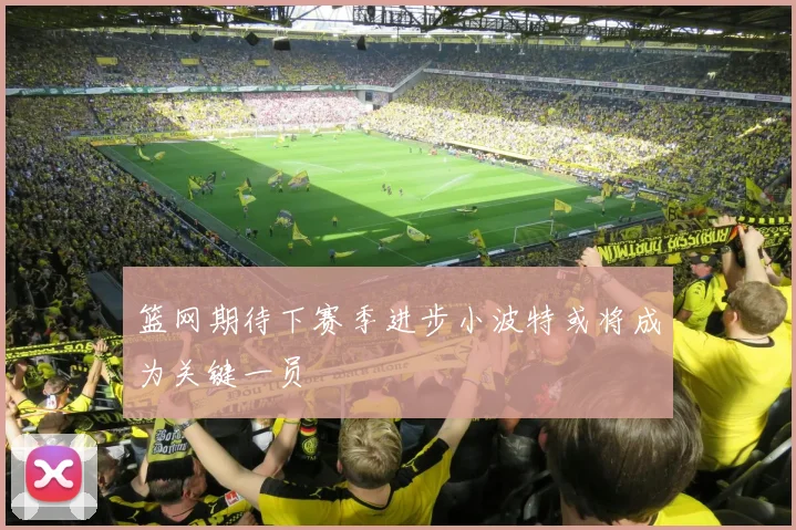 篮网期待下赛季进步小波特或将成为关键一员